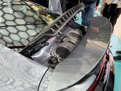 Rear engine compartment and large rear wing detail