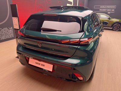 Rear view with hybrid badge and modern LED tail lights
