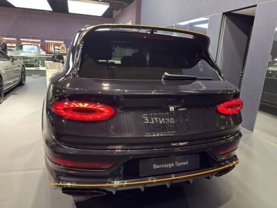 Luxury SUV rear view with oval taillights and sporty design details.