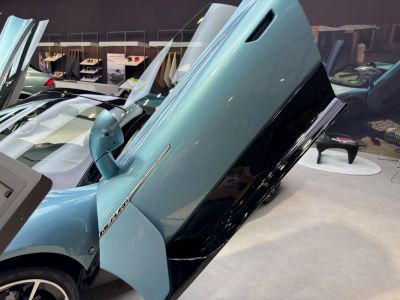 Butterfly doors and side mirror on a luxury high-performance car