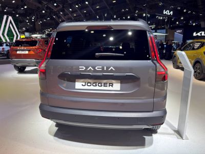 Rear of a vehicle with vertical multi-segment LED tail lights and rear hatch handle