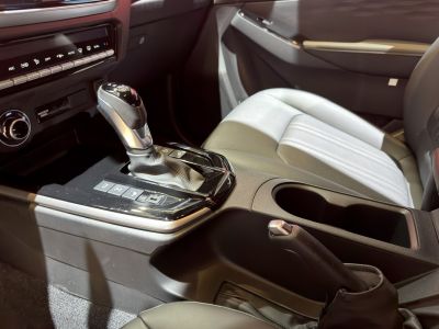 Gear shifter, control buttons, cup holder, and seat in double cab interior
