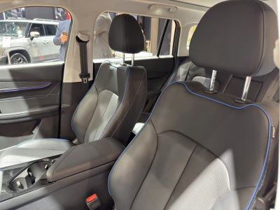 Leather seats with blue stitching and perforated center panels