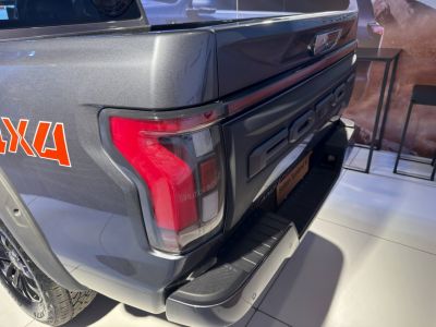 Rear tail light and tailgate with step bumper detail