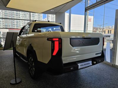 Rear view with distinct tail light and tailgate design