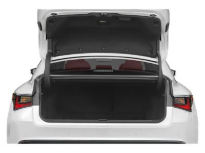 Open spacious rear trunk of a sedan