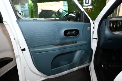 Interior door panel with control buttons and textured design