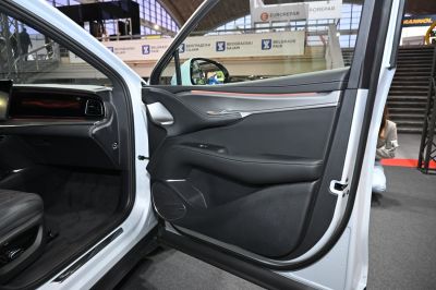 Elegant car interior door panel with leather and ambient lighting