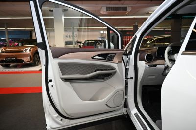 Interior door panel with wood trim and integrated speaker