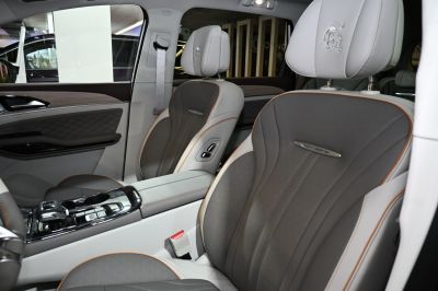 Detailed luxury leather seats with advanced center console and wood paneling