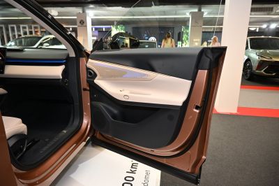 Two-tone car door interior with integrated speaker and control panel