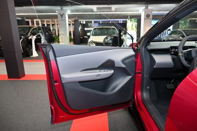 Modern interior door panel with integrated control switches and speaker grille
