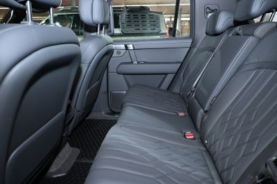 Rear seat leather upholstery with door panel and headrest details