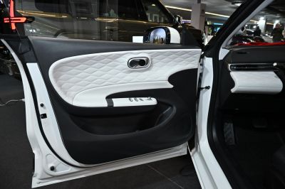Quilted two-tone white and black interior door panel with controls