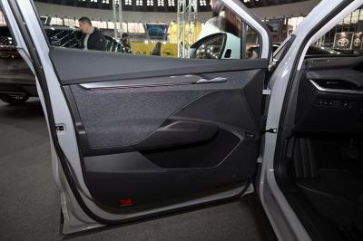 Modern car door panel with fabric and polished handle