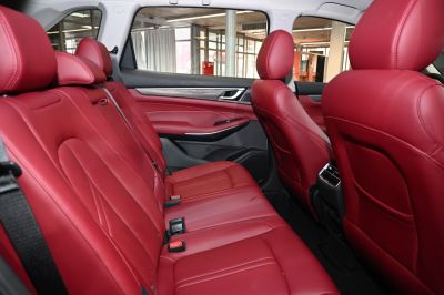 Red leather rear seats with headrests and door panel