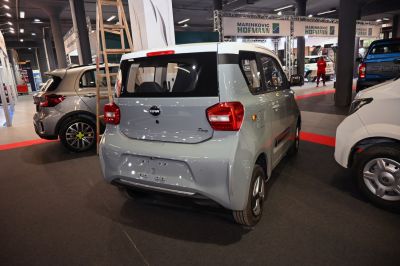 Compact hatchback rear with taillights and hatch window
