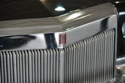 Close-up of vertical grille and emblem with metallic detailing