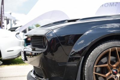 Close-up of front grille and bronze alloy wheel.