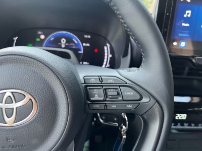 Steering wheel controls with cruise and multimedia buttons