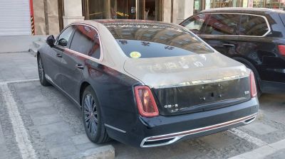 Rear view of luxury sedan with vertical tail lights and dual exhausts