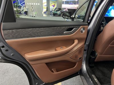 Brown leather door panel with wood trim and premium speaker grill