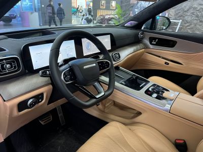 Dual digital displays and multifunction steering wheel in modern car interior