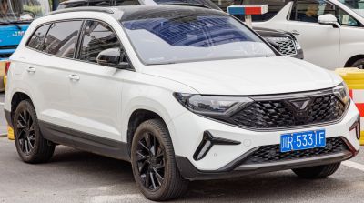 Black hexagonal front grille and black alloy wheels on a modern SUV.