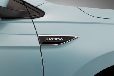 Close-up of side badge and body lines