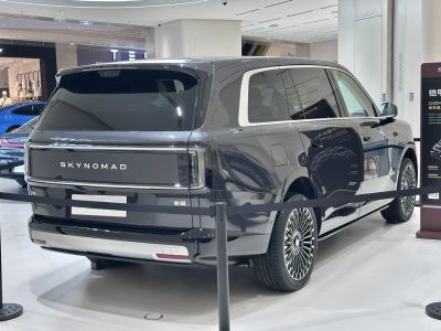 Rear and side view of SUV with LED taillights and alloy wheels