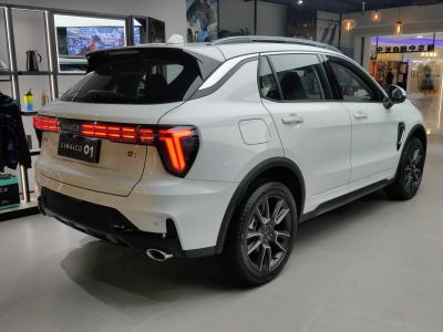 Rear side view with distinctive taillights and sporty SUV features