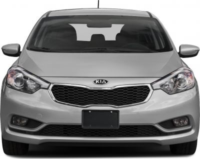 Front view with honeycomb grille and headlight design