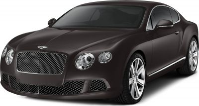 Luxury coupe front with mesh grille and distinct headlights