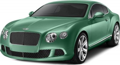 Luxury coupe front grille and dual round headlights