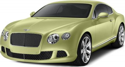 Front grille with chrome mesh and paired round headlights