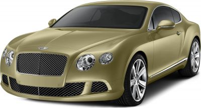 Luxury coupe front with mesh grille and round LED headlights