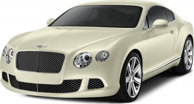 Front profile with mesh grille and oval headlights