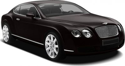 Luxury coupe with chrome mesh grille and dual round headlights