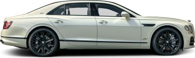 Sleek aerodynamic sedan side profile with black multi-spoke alloy wheels.