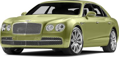 Luxury sedan front with mesh grille and dual round headlights