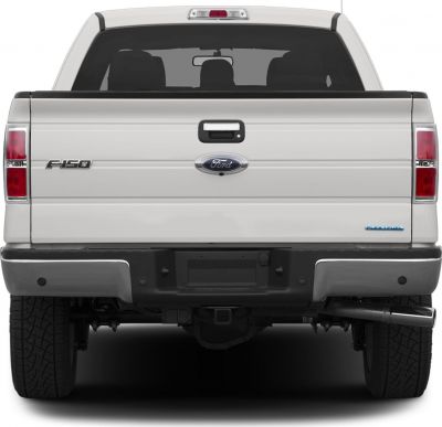 Rear view with tailgate, F-150 badge, and Flex Fuel emblem